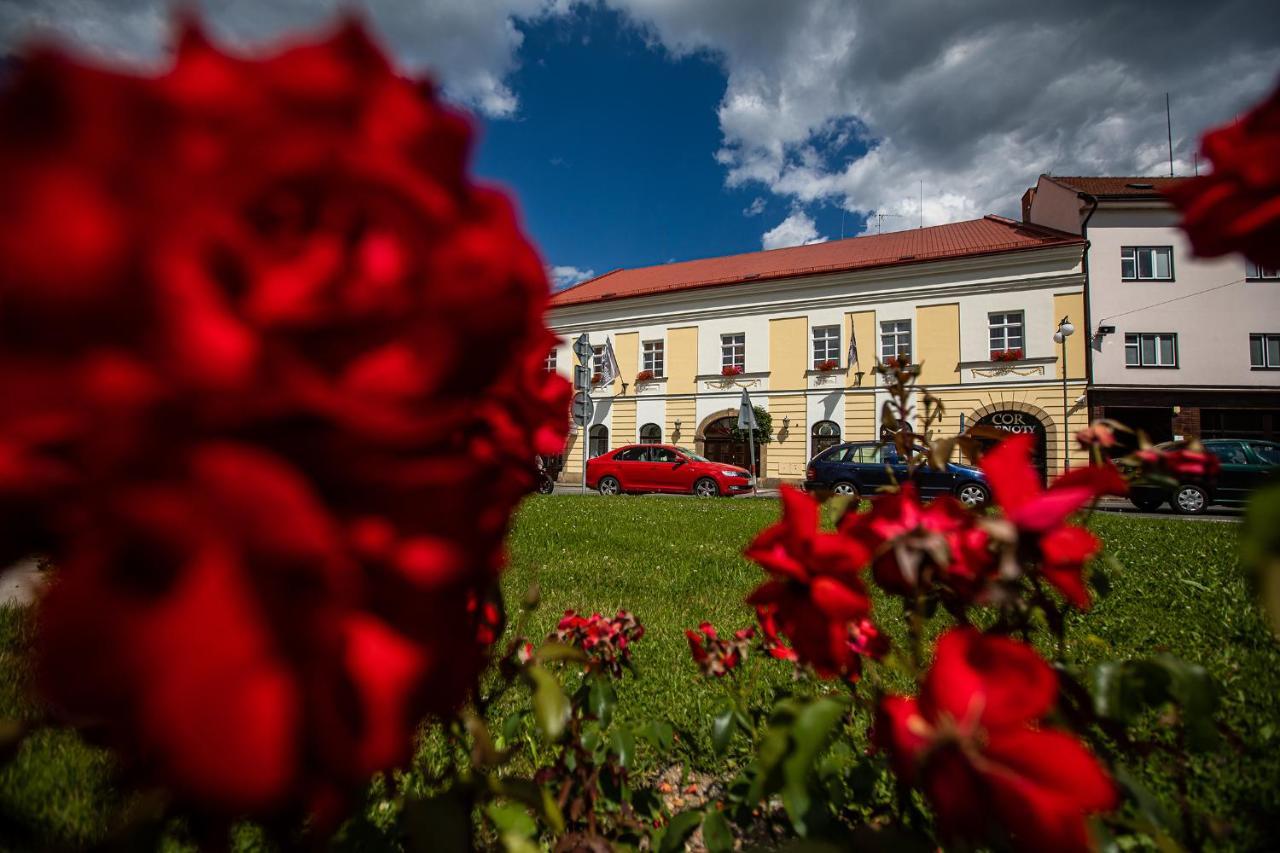 Penzion Satlava Nové Město nad Metují Dış mekan fotoğraf